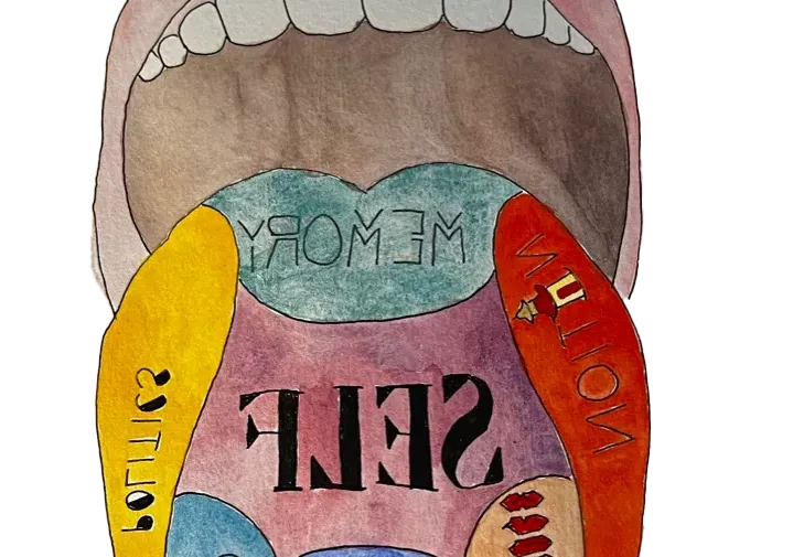 A hand-drawn open mouth with a tounge sticking out. The tounge is divided into colored sections labeled clockwise from left "nation", "memory", "politics", "class", "history", "culture", and at the center, "self".