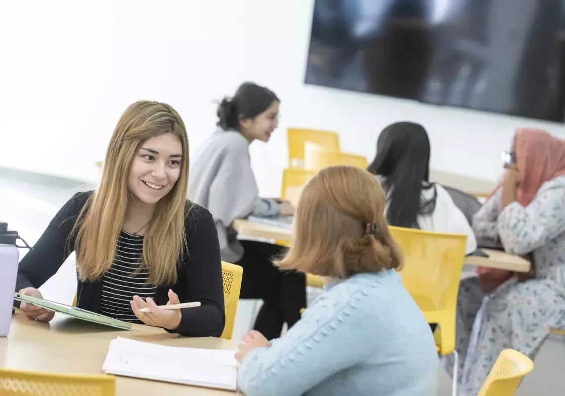 Two students discussing 